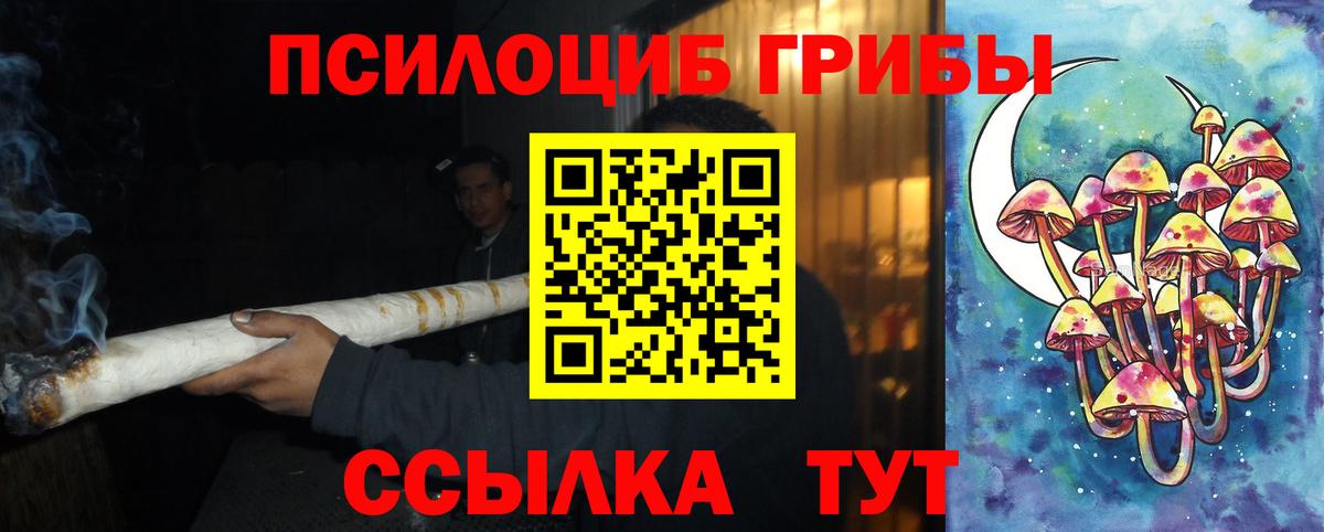Орехово-Зуево  Псилоцибиновые грибы прущие грибы  Вход с VPN 